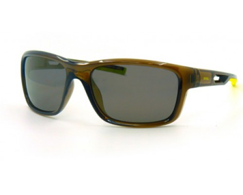 Солнцезащитные очки INVU A2100C