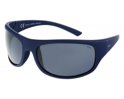 Солнцезащитные очки INVU A2106B + чехол