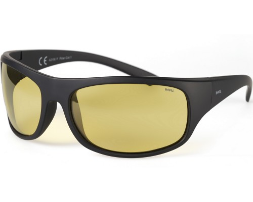 Солнцезащитные очки INVU A2106F