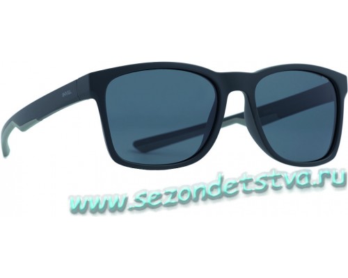 Очки солнцезащитные для мужчин INVU B2822A