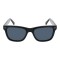 Солнцезащитные очки поляризованные с чехлом INVU IB22450A