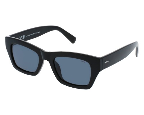 Солнцезащитные очки поляризованные с чехлом INVU IB22460A