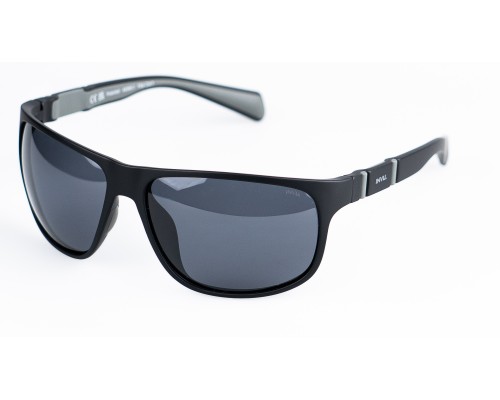 Солнцезащитные очки поляризованные с чехлом INVU A2308C