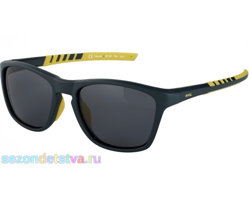 Солнцезащитные очки INVU A2110B