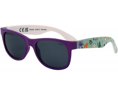 Солнцезащитные очки INVU K2402Q2