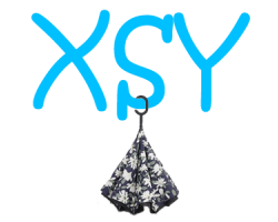 XSY